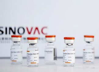 Double doses of Sinovac vaccine 91% effective in reducing infection by Alpha (UK) strain