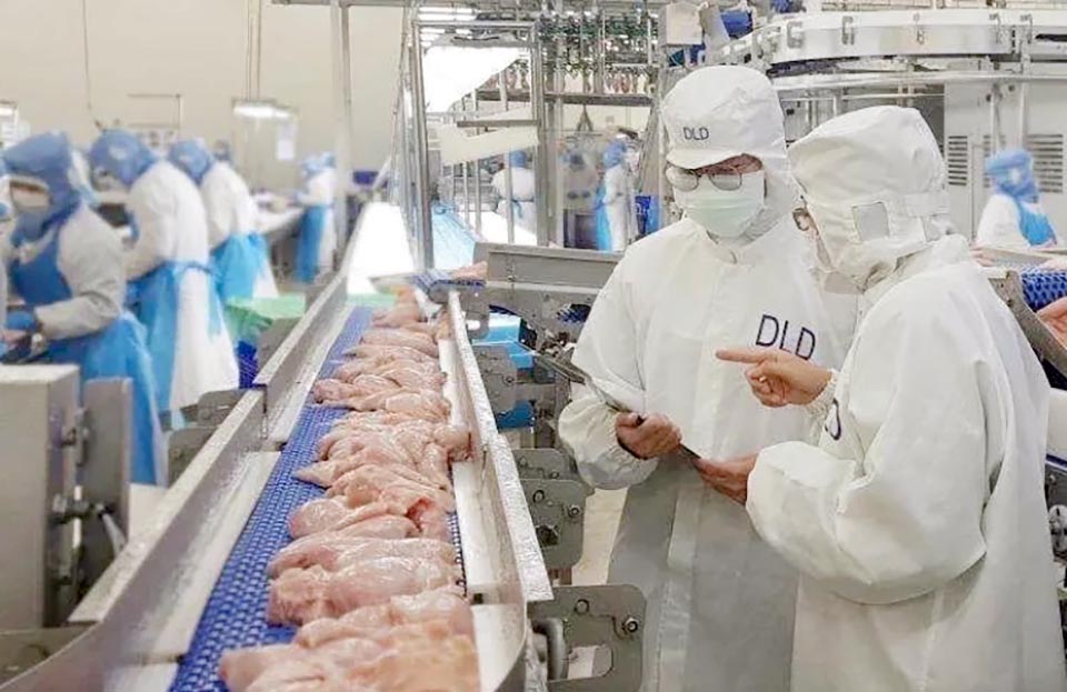 Saudi Arabia allows import of Thai poultry after 17 years - Pattaya Mail