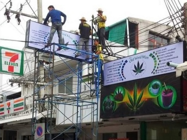 Pattaya-cashes-in-on-marijuana-bonanza-B