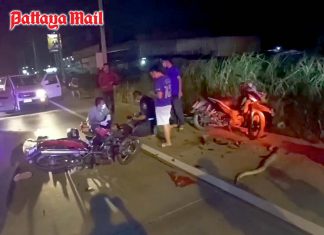 Python crossing Pattaya highway causes head-on crash, 3 injured