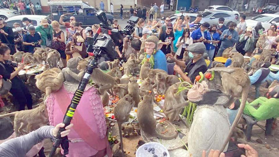 Thailand's monkey city of Lopburi holds annual buffet festival - Pattaya  Mail