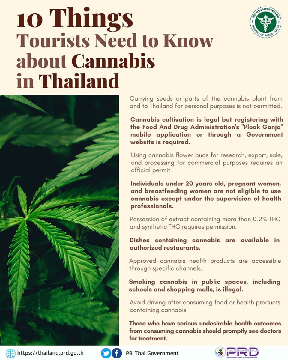 t 10 10 things tourists need to know about cannabis in Thailand