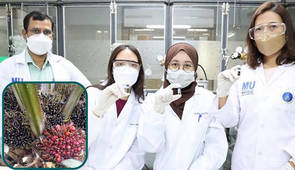 t 16 Thai researchers develop anticancer medicine from palm bunches