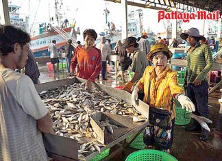 Migrant workers with or without documentation granted temporary amnesty