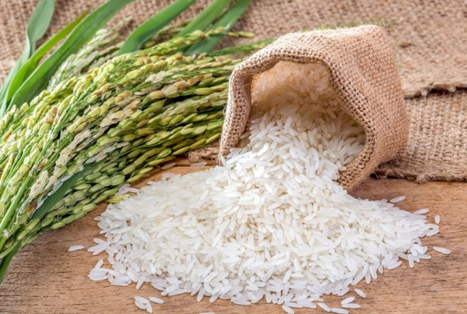 Think Rice ‘Think Rice, Think Thailand’ concept to promote unique qualities of Hom ...