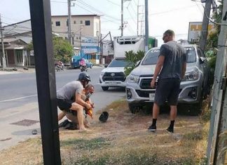 First signs of concern about visa exempt mass tourists