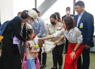 Philippines urged to follow Thailand to grab more Chinese tourists