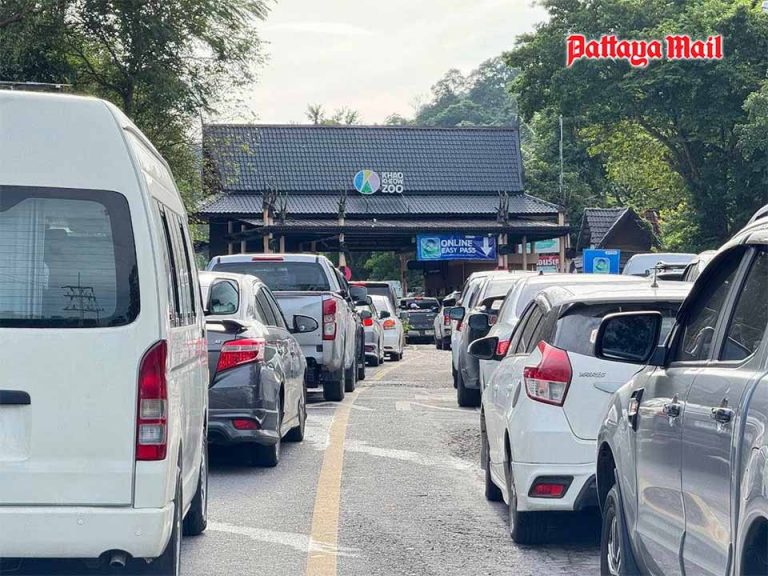 ‘Moo Deng’ creates history at Khao Kheow Open Zoo, drawing