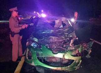 Runaway cattle cause highway accident—police seek owner for compensation