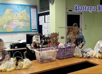 Pattaya Polizei verhaftet ausländische Händler nach dramatischem Fluchtversuch im Meer