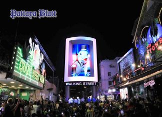 Pattaya eröffnet neue 3D-LED-Walking Street mit niedlichem Delfin-Maskottchen für Touristen