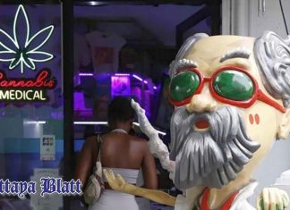 Regierung legt neue Regeln zur Eindämmung des Cannabis-Booms fest