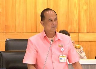 Senator calls for probe and cancellation of ‘Soft Power’ budget over ineffectiveness