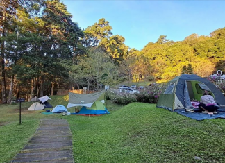Tourists flock to Chiang Mai mountains to welcome winter with cold breezes and sea of mist