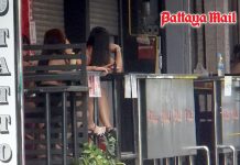 Pattaya nightlife strangled by confusing alcohol laws and outdated bars as high season hits