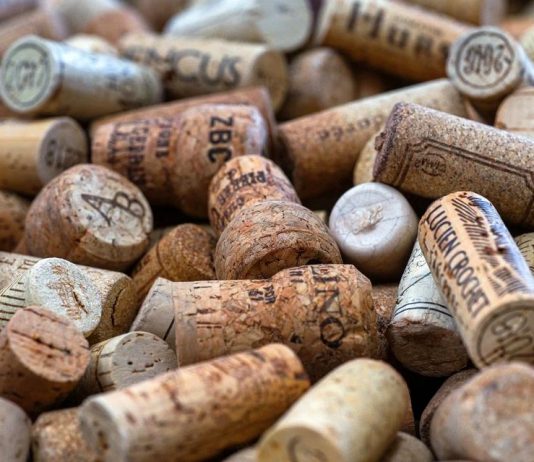 Wine World: Where do I begin?