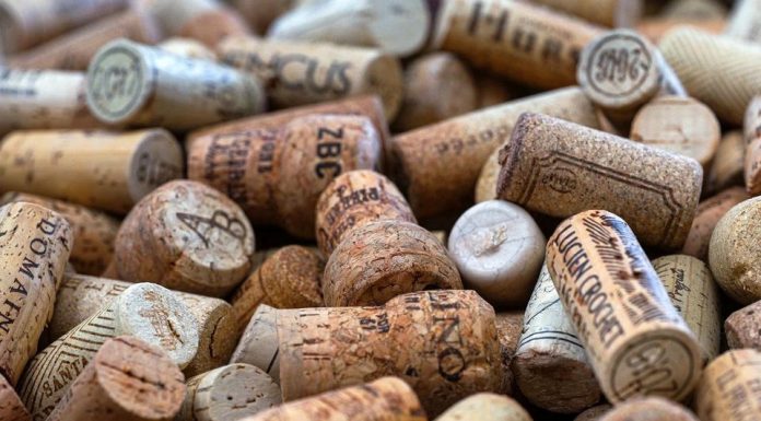 Wine World: Where do I begin?