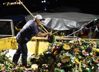 Bangkok sees decline in krathongs collected during 2025 Loy Krathong Festival