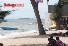 Cool morning weather spreads across Thailand as Pattaya sees mild chill and moderate dust levels