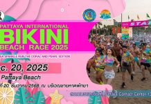 Pattaya Beach ignites as Bikini Beach Race 2025 brings sport, stars and sunset spectacle, Dec 20