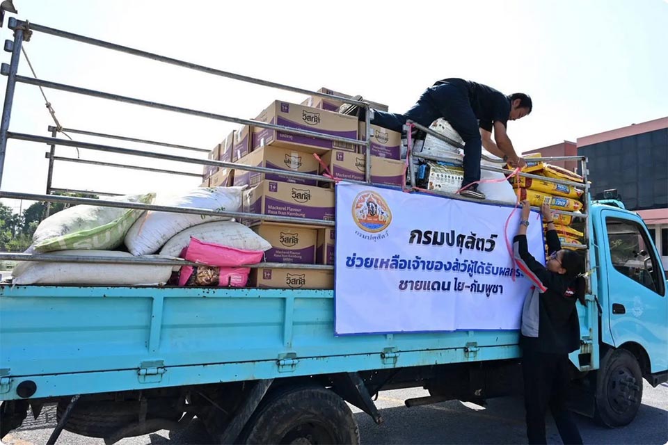 DLD rushes aid to protect livestock in Thai–Cambodian border conflict