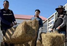 Livestock Department steps up aid for border farmers affected by Thai–Cambodian clashes