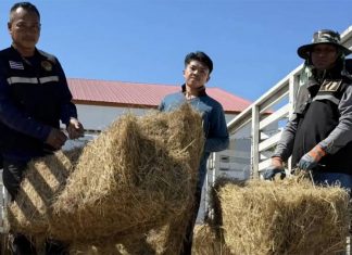 Livestock Department steps up aid for border farmers affected by Thai–Cambodian clashes