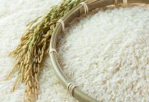 GI certification lifts Thai rice value past 8 billion baht in 2025