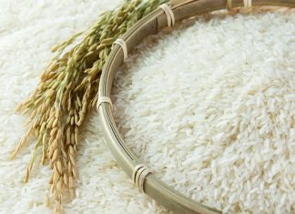 GI certification lifts Thai rice value past 8 billion baht in 2025