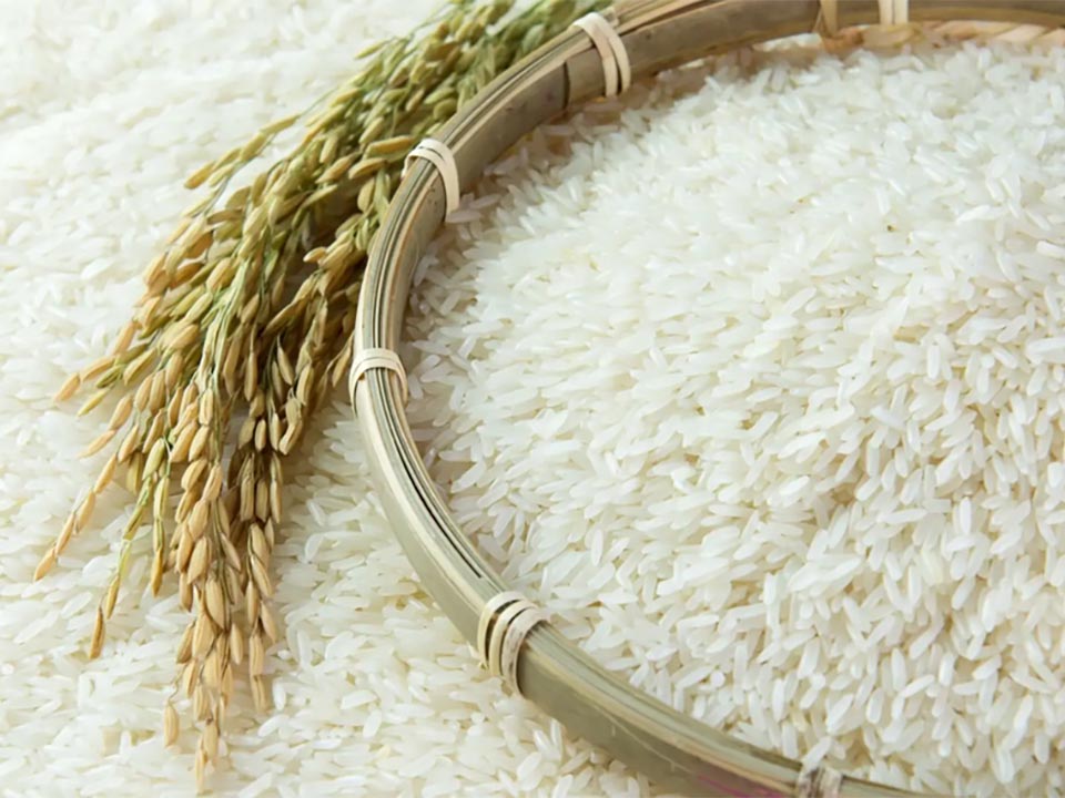 GI certification lifts Thai rice value past 8 billion baht in 2025