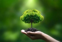 Thailand moves toward first nationwide climate law as Cabinet approves draft Climate Change Act