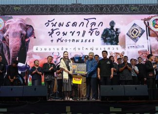 Thailand celebrates 34 years of Huai Kha Khaeng World Heritage status with focus on youth and conservation