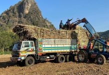 Dust danger returns as Thailand tightens grip on cane burning and biomass emissions