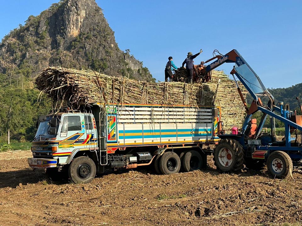 Dust danger returns as Thailand tightens grip on cane burning and biomass emissions
