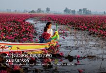 Chasing the Pink Horizon Across Thailand’s Red Lotus Seas