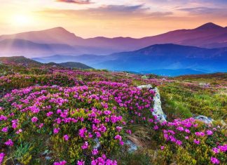 Classical Connections: A Special Place