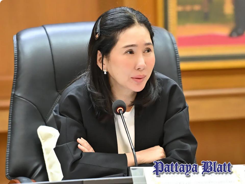 Thailand bestätigt keine Nipah-Virus-Fälle – Flughäfen verstärken Gesundheitskontrollen