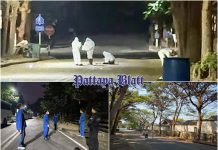 Behörden sammeln Fledermausproben in Pattaya zur Untersuchung auf Nipah-Virus