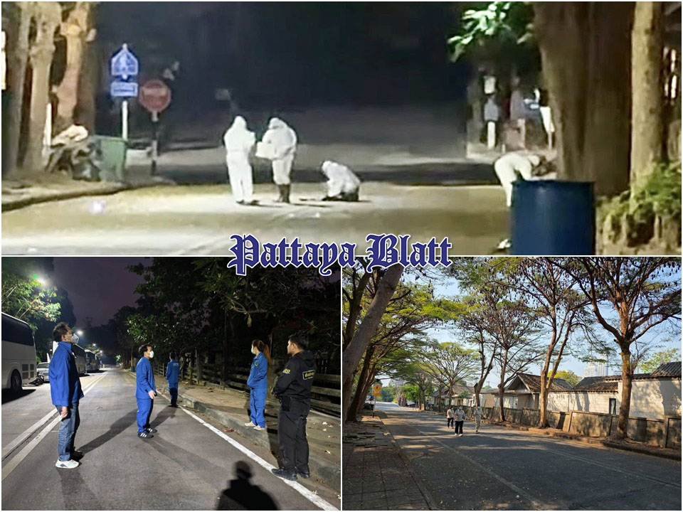 Behörden sammeln Fledermausproben in Pattaya zur Untersuchung auf Nipah-Virus