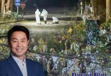 Labortests bestätigen Fledermauskot in Pattaya ohne Gesundheitsrisiko