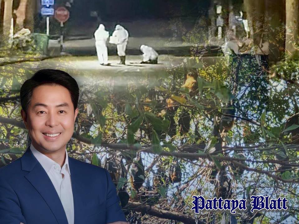 Labortests bestätigen Fledermauskot in Pattaya ohne Gesundheitsrisiko