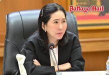 Thailand confirms no Nipah virus cases as airports step up health screening