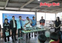 Pattaya releases marine life to restore coastal ecosystems and promote eco-tourism