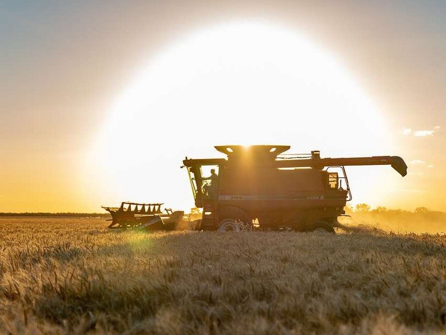 Wine World: Doing the Twist