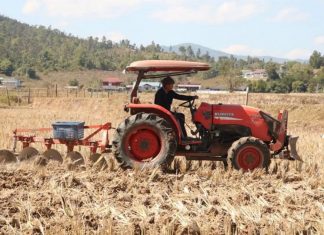 Thai Agriculture Dept. tightens controls on open burning to cut haze and PM2.5
