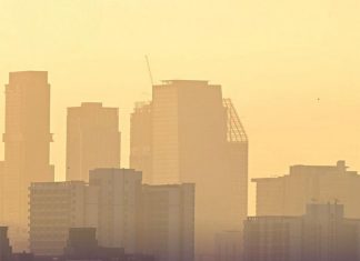 Bangkok calls for burning freeze as PM2.5 threatens air quality this week