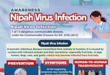 Thailand confirms no Nipah virus cases, health authorities maintain vigilant monitoring
