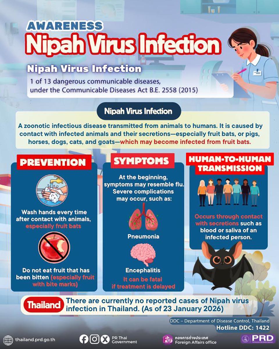 Thailand confirms no Nipah virus cases, health authorities maintain vigilant monitoring