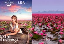 Red Lotus Lake sees fourfold surge in tourists after Lisa promotion