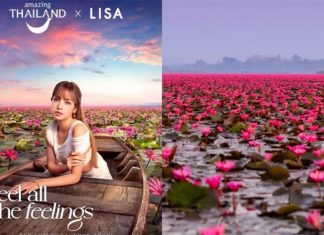 Red Lotus Lake sees fourfold surge in tourists after Lisa promotion